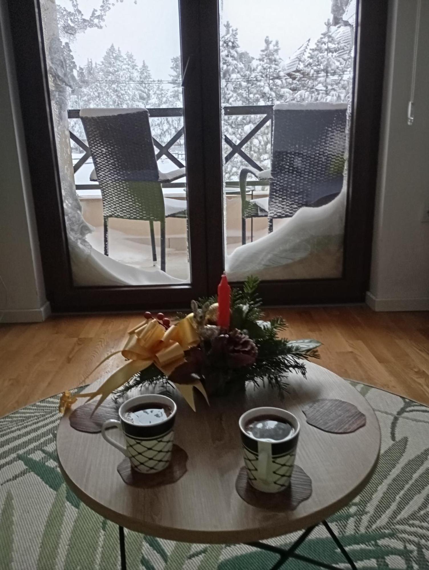 Apartman Pahuljica Tara بير المظهر الخارجي الصورة
